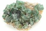 Fluorescent Green Fluorite Cluster - Diana Maria Mine, England #208884-2